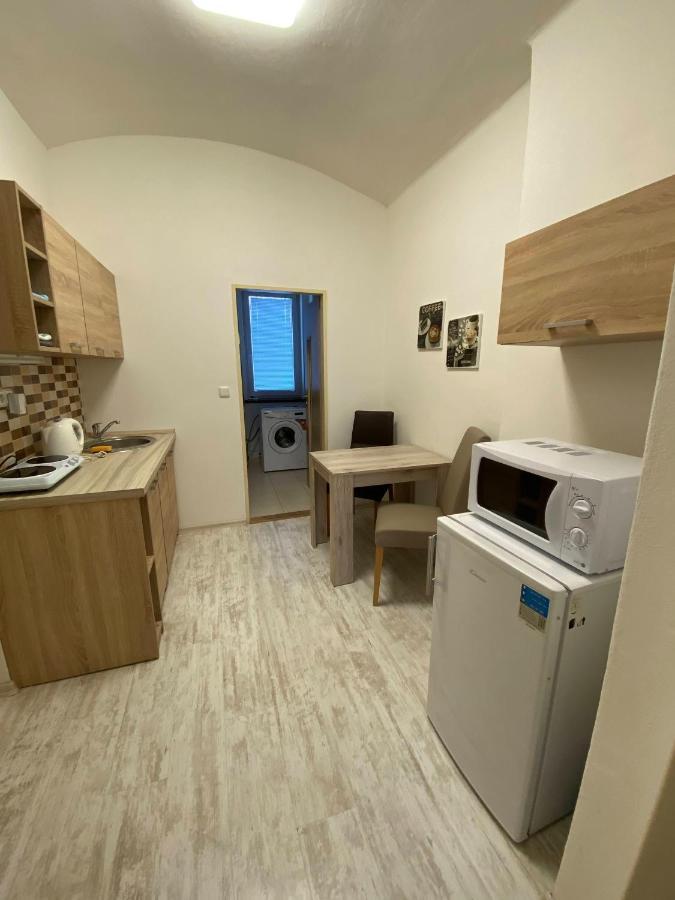 Ubytovani Stara Ústí nad Labem エクステリア 写真