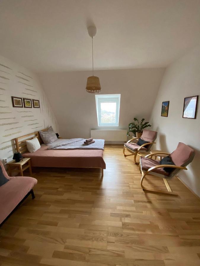Ubytovani Stara Ústí nad Labem エクステリア 写真