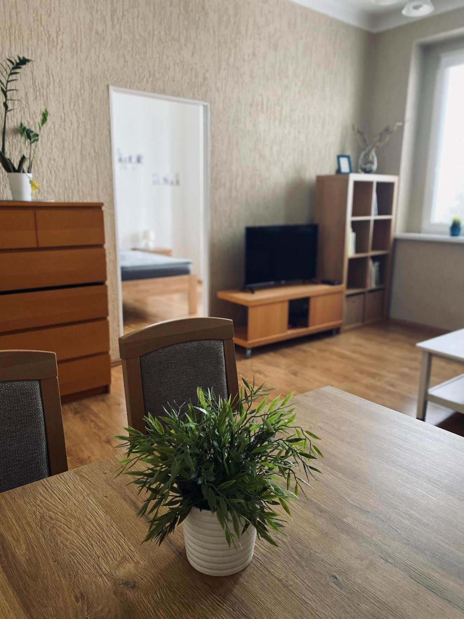 Ubytovani Stara Ústí nad Labem エクステリア 写真
